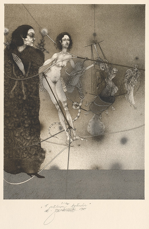 Vladimír Gažovič – V módnom kožuchu 