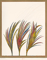 Viera Gergeľová – Leto 