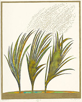 Viera Gergeľová – Jar 