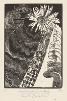 Kamila Štanclová – Jozef v Egypte III 