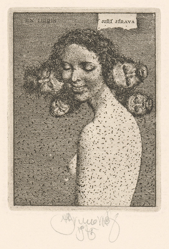 Albín Brunovský – Ex libris Jírava 