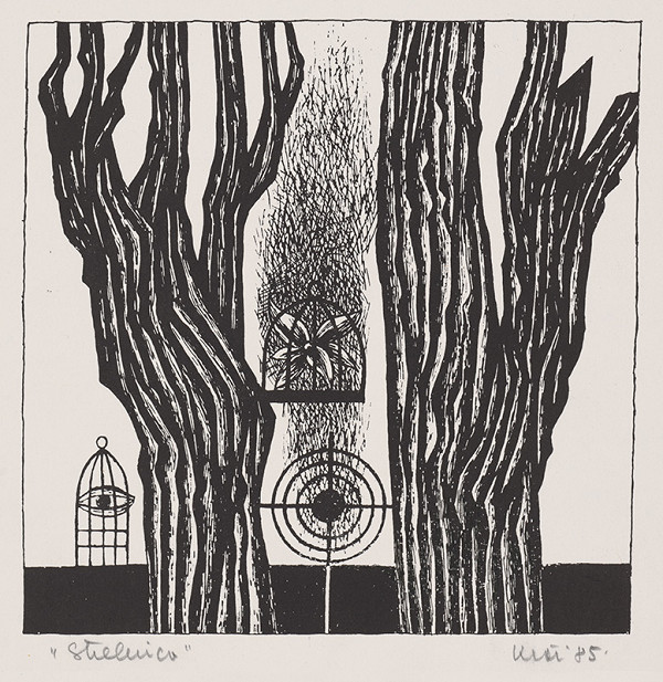 Fero Kráľ – Strelnica