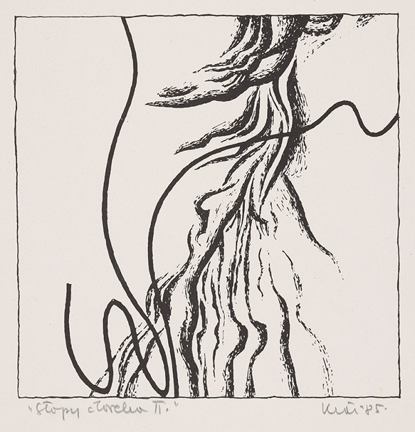 Fero Kráľ – Stopy človeka II. 