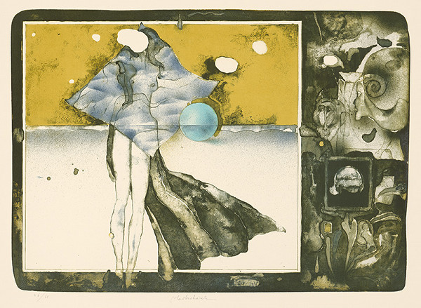 Vladimír Suchánek – Solitudo 