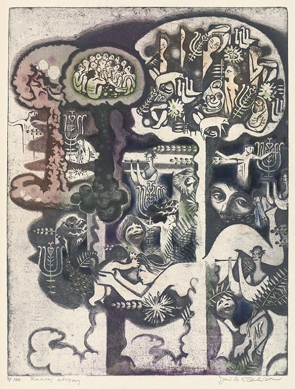 Jarmila Pavlíčková – Radšej stromy 