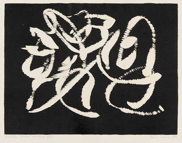 Štefan Prukner – A volali hlasom velikým 