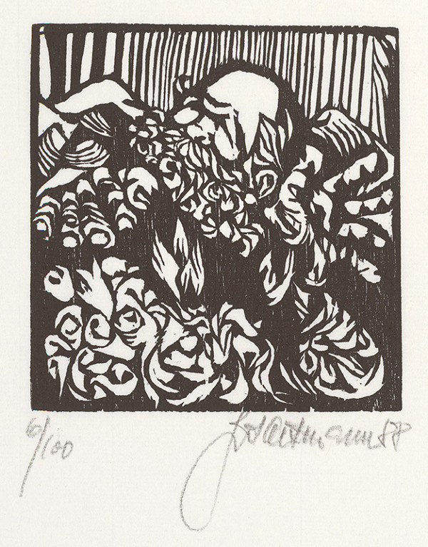 Jiří Altmann – V střetu hor 