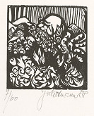 Jiří Altmann – V střetu hor 