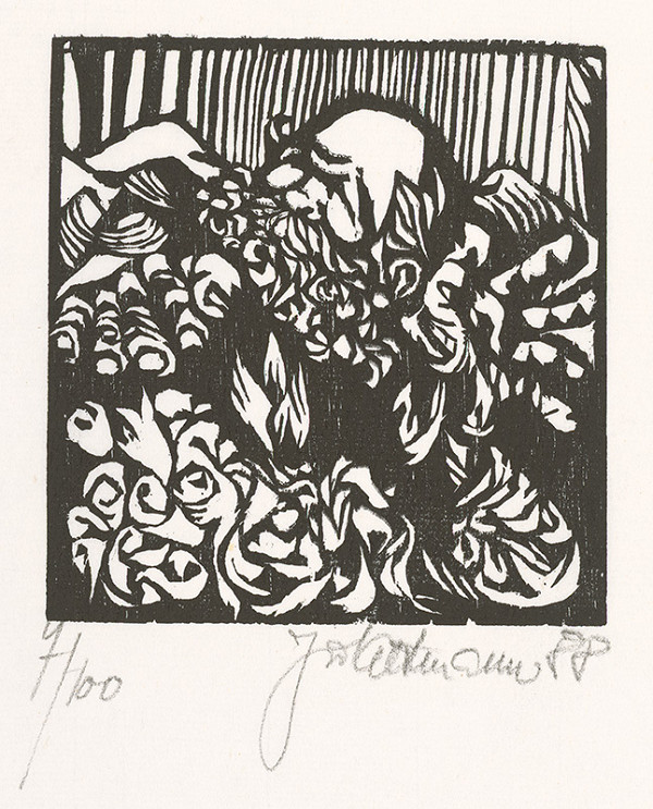 Jiří Altmann – V střetu hor 