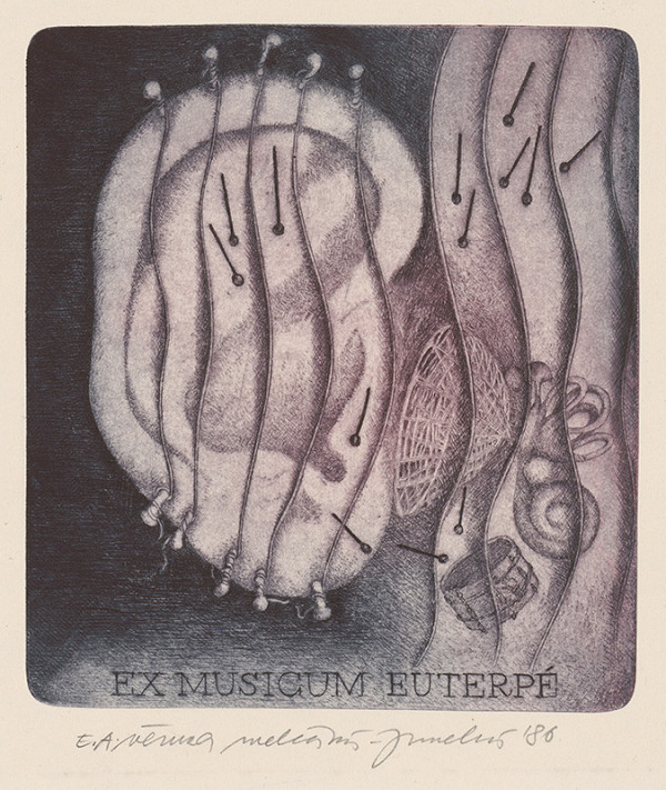 Věruna Melčáková-Juneková – Ex musicum euterpé 