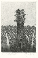 Albín Brunovský – Chvála zamotaných snov III. 