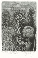 Albín Brunovský – Chvála zamotaných snov VI. 