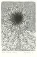 Albín Brunovský – Chvála zamotaných snov VII. 