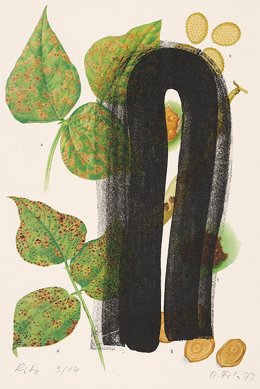 Rudolf Fila – Listy II. 