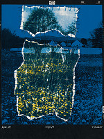 Viktor Hulík – Transplantácia I.B 