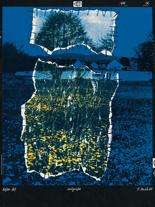 Viktor Hulík – Transplantácia I.B 