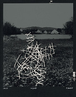 Viktor Hulík – Transplantácia II.A 