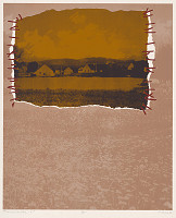 Viktor Hulík – Transplantácia VII. 