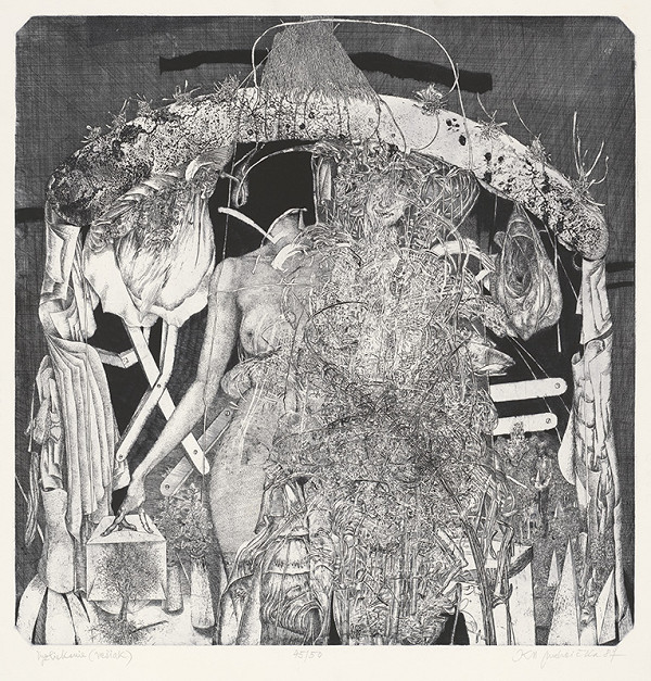 Karol Ondreička – Vyzliekanie 