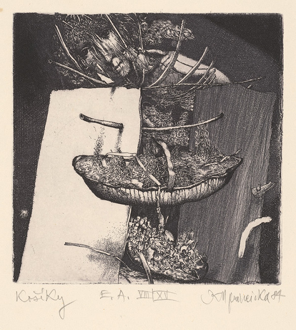 Karol Ondreička – Košíky 