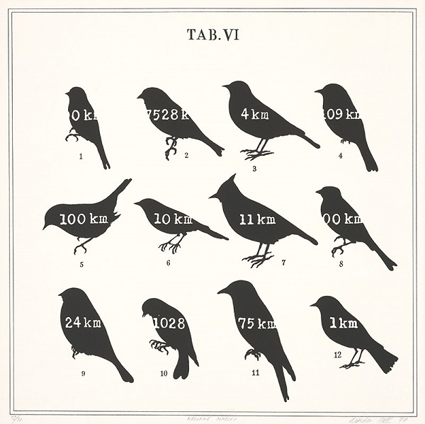 Dezider Tóth – Názorné pomôcky 6. 