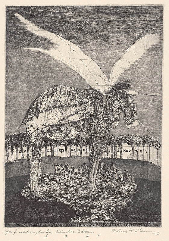 Dušan Kállay – A videl som koníka Albrechta Dürera 