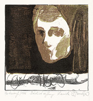 Kamila Štanclová – Búrlivé výšiny 