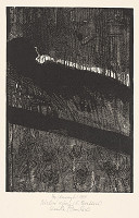 Kamila Štanclová – Búrlivé výšiny 