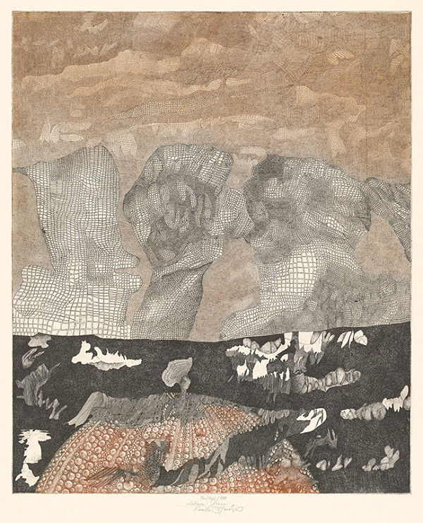 Kamila Štanclová – Letiace tiene 