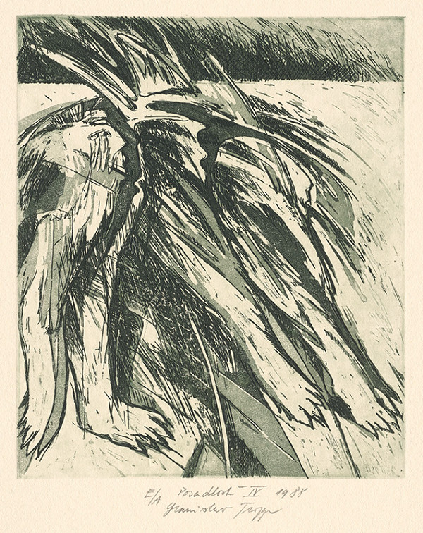 Stanislav Tropp – Posadlosť IV. 