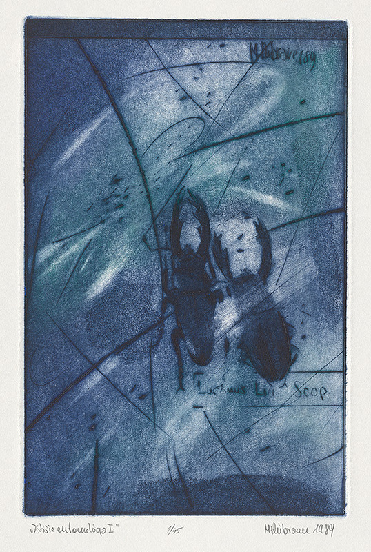 Marcel Dúbravec – Zátišie entomológa 