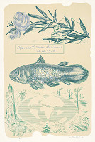 Anton Hollý – Objavenie Latimerie chalumnae 22.12.1938 