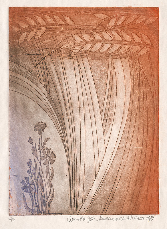 Ján Jánoška – Nevädza v žite 