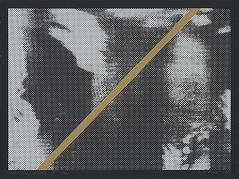 Jana Želibská – Prerušený obraz III. 