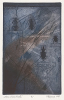 Marcel Dúbravec – Zátišie entomológa II. 