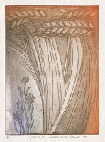 Ján Jánoška – Nevädza v žite 