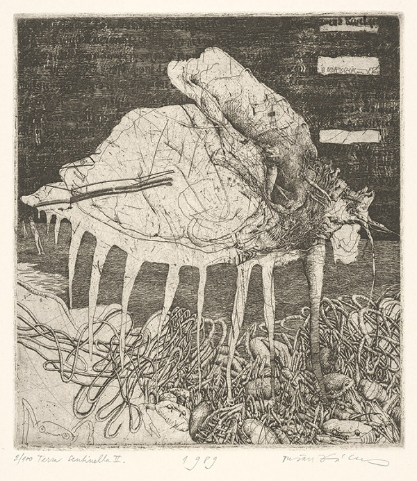 Dušan Kállay – Terra Sentinella 