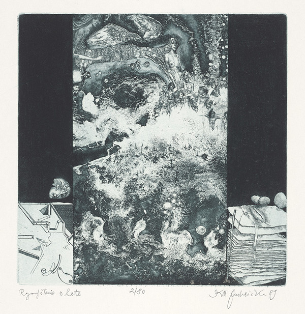 Karol Ondreička – Rozmýšľanie o lete 