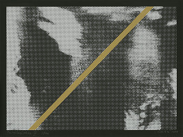 Jana Želibská – Prerušený obraz III. 