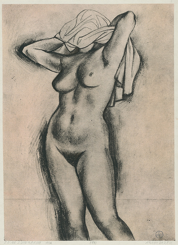 Andrej Barčík – Žena s uterákom 