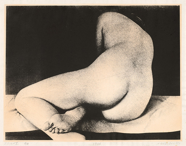 Andrej Barčík – Žena X. 