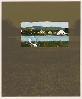 Viktor Hulík – Transplantácia 6 