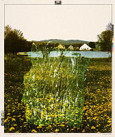 Viktor Hulík – Transplantácia III. 