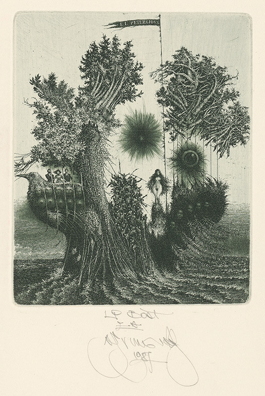 Albín Brunovský – LP Bost 