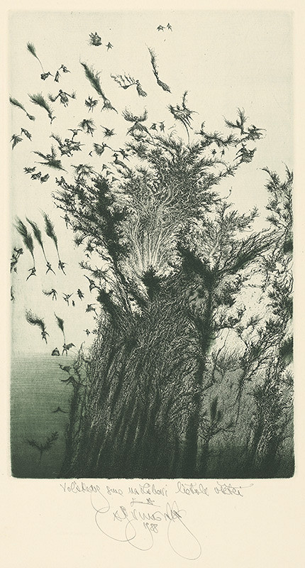 Albín Brunovský – Voľakedy na Záhorí lietali všetci 