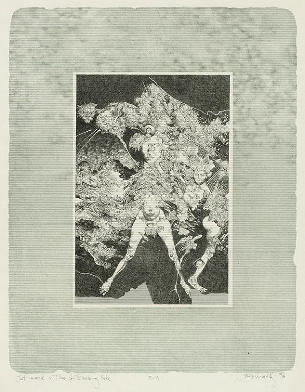 Albín Brunovský – Just - maried ov Time for Blucbery Lake