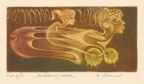 Gabriel Štrba ml. – Každodenný vietor 