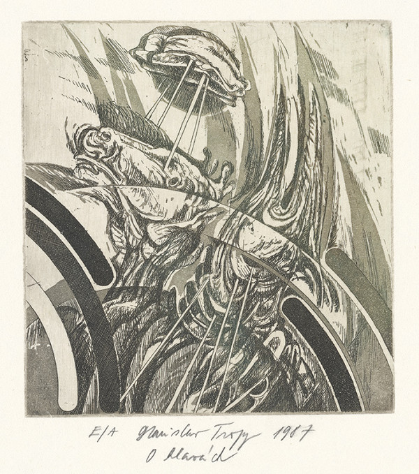 Stanislav Tropp – O hlavách 