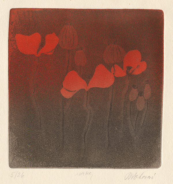 Blanka Votavová – Maky 