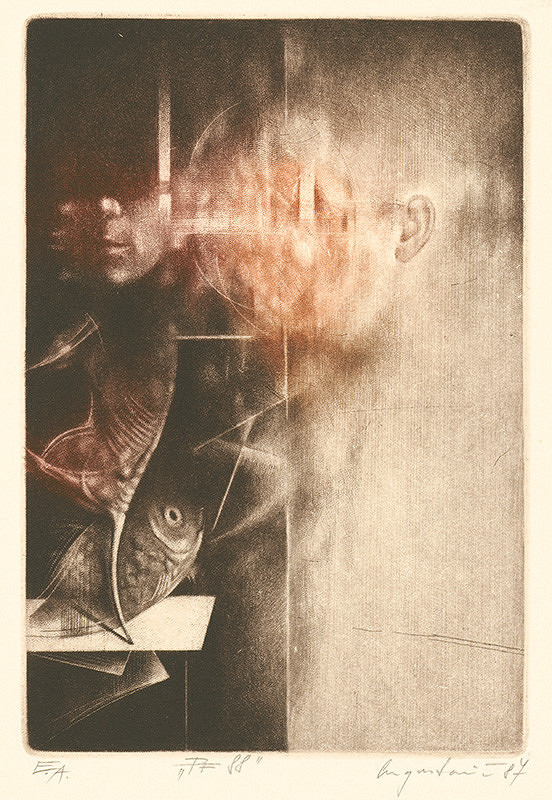 Peter Augustovič – PF 88 